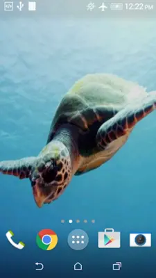 Turtle 3D Live Wallpaper android App screenshot 0