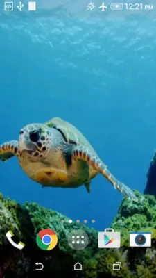 Turtle 3D Live Wallpaper android App screenshot 1