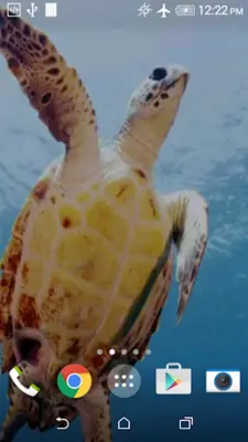 Turtle 3D Live Wallpaper android App screenshot 2