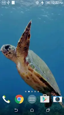 Turtle 3D Live Wallpaper android App screenshot 3