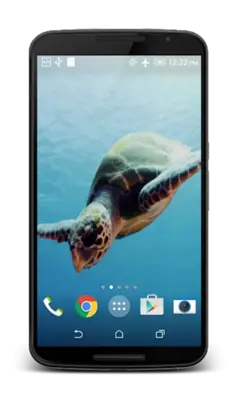 Turtle 3D Live Wallpaper android App screenshot 4